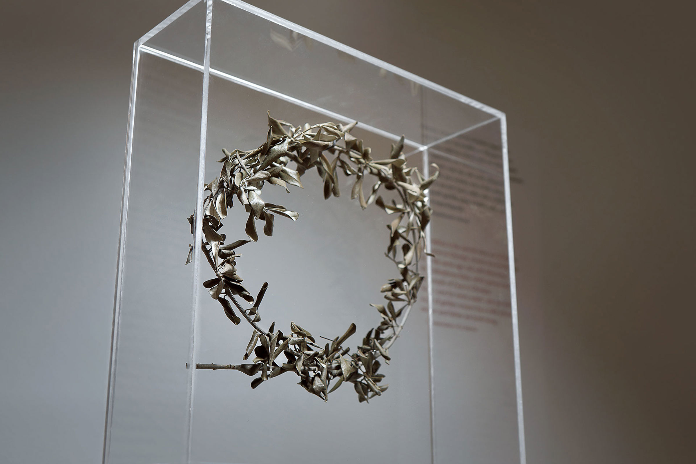Olive wreath on display